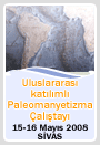 ULUSLARARASI KATILIMLI PALEOMANYET�ZMA �ALI�TAYI