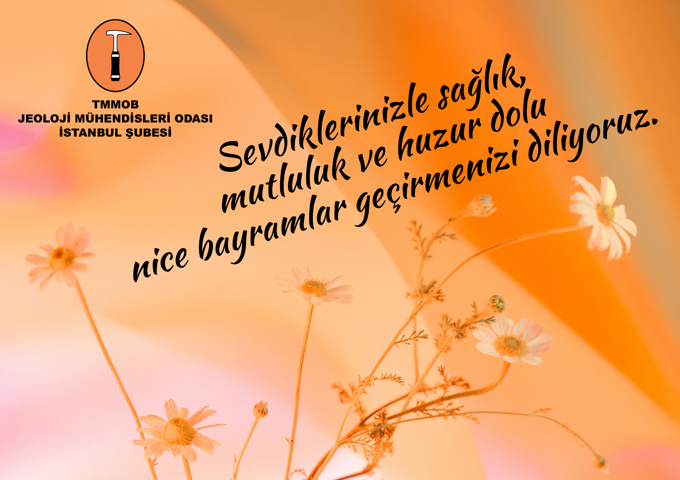 https://www.jmo.org.tr/resimler/ekler/b0cf292e400b5cb_ek.png